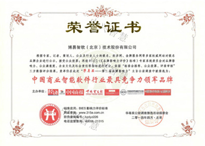 中国商业智能软件领军品牌